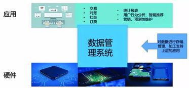 大數(shù)據(jù)技術(shù)的發(fā)展趨勢(shì)與數(shù)據(jù)開(kāi)發(fā)的新方向